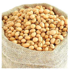 <b>Soybean</b> Seeds Farm Planting Seeds High Germination Certified Agricultural Crop Seeds Wholesale Bulk Supply Export Manufacturer - Product Image 1