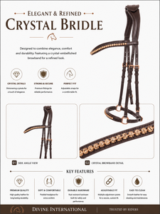 Bridons pour chevaux en cuir pleine fleur de qualité supérieure avec clous, fabricant d'équipements équestres en gros de Divine International - Product Image 1