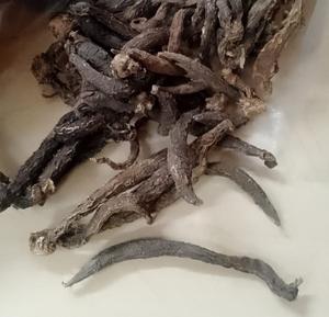 Raíces de Roscoea Procera a granel - Product Image 5