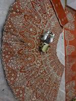 Ensemble de Lehenga de mariée de créateur haut de gamme, style papillon, richement brodé et orné de sequins, pour mariage et soirée