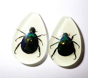 Cabochon en plastique de spécimen réel de Scarabée coloré, taille poire, 46x30 mm, fond plat, pour artisanat et fabrication de bijoux - Product Image 3
