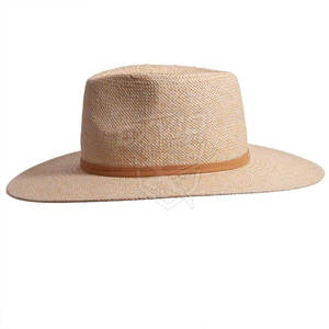 Sombrero de Verano de Alta Calidad, Nuevo Diseño 2026, para Hombre y Mujer, Uso en Exteriores - Product Image 3