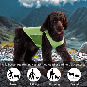 Ropa para Mascotas Hecha a Medida, Camisetas para Perros al por Mayor, Ropa para Cachorros de Algodón Suave, Chalecos Lisos para Gatos, Ropa Cómoda - Product Image 5