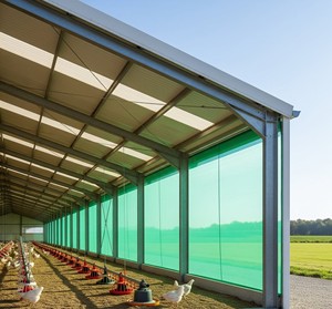 Malla de Sombra Agrícola FORTUNE AGRO NET, Material 100% HDPE Puro, 3 Años de Duración, Protección de Cultivos y Vegetales Contra Daños Solares, Cinta X - Product Image 1