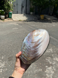 Vintage Seashell Brass Jewelry Box <b>Abalone</b> <b>Shell</b> Trinket Storage, Bronze Jewelry Organizer Ancient-Style Home Decor Seashell Box - Product Image 3