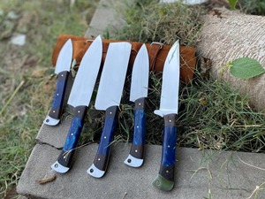Juego de 5 Cuchillos de Cocina con Hoja de Acero Inoxidable, Mango Azul, Borde Recto, Cuchillería Profesional - Product Image 1