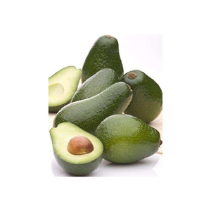 ผู้ขายอะโวคาโดสดคุณภาพสูง / ผู้ซื้ออะโวคาโดสดแบบขายส่ง - Product Image 1