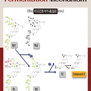 Extracto de Asta de Ciervo Hongnoksam, Fórmula Patentada de Fermentación para la Recuperación de Energía, Refuerzo de la Inmunidad, Ginseng Rojo Fermentado - Product Image 2