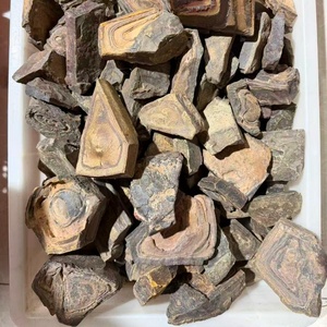 Bois pétrifié naturel d'Égypte, pierre de bois fossile brute pour l'aménagement paysager et la décoration - Fossile de bois ancien de qualité supérieure - Product Image 6