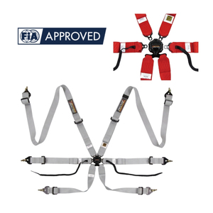 เข็มขัดนิรภัยสำหรับรถแข่ง TBRACING Sport Plus ได้รับการรับรองจาก FIA สำหรับขายส่ง แบบ OEM ODM รับผลิตแบรนด์ส่วนตัว พร้อมสลักเกลียวตาไก่ขนาด 7 16 UNF - Product Image 1