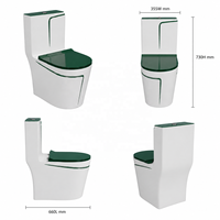 WC monobloc moderne et élégant en céramique blanc à rayures vertes, à chasse d'eau, pour salle de bain de villa, avec chasse double à fermeture douce