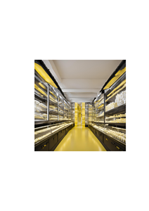 เนยเทียมบรรจุกล่อง ได้รับการรับรองมาตรฐาน ISO/HACCP/GMP/ฮาลาล ผ่านการฆ่าเชื้อ ชนิดกึ่งแข็ง รสเค็ม สำหรับอุตสาหกรรมอาหาร บรรจุภัณฑ์ขนาดใหญ่ 80% - Product Image 3