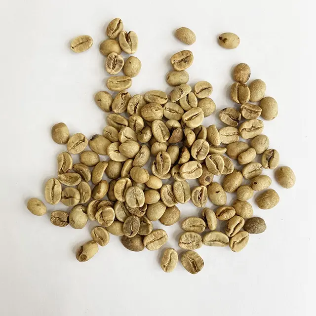 Vietnamese coffee beans green coffee beans robusta organic blend drink arabica