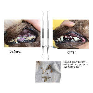 Dog Teeth Cleaning Tools Manual Stainless Steel Double Head Pet Dental Scraper & Scaler Professional Canine Tartar Remover - Product Image 3
