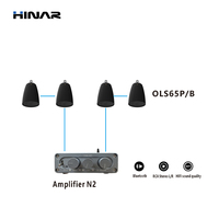 Set Speaker Gantung HINAR 6.5 Inch dengan Amplifier N2 RCA Stereo Tweeter yang Dapat Diputar Tahan Cuaca untuk Musik Latar Belakang