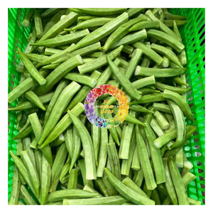 Okra entière surgelée sous vide IQF, en vrac, pour la cuisson et la restauration - CARYLN - Product Image 1