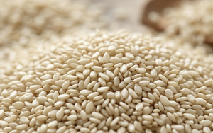 Semillas de Sésamo con Cáscara Blanca, Calidad de Exportación Natural, Suministro a Granel, Grado Alimenticio, Gujarat, India - Product Image 3