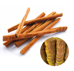 Vietnam Factory Premium Quality Wholesale Offer High Oil Content Saigon Cinnamon Split Packed In 10kg Box - Product Image 1