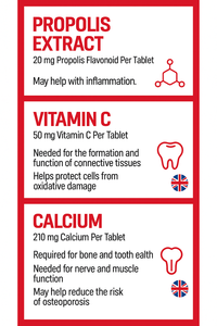 Comprimés de Propolis OEM avec Calcium, Vitamine C et Flavonoïdes – Complément Quotidien pour la Santé Dentaire et Osseuse des Adultes – Fabriqué en Corée – 1250mg - Product Image 5