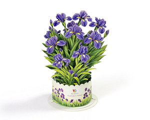 3D Pop Up Birthday Flowers Card with Envelope - Product Image 4