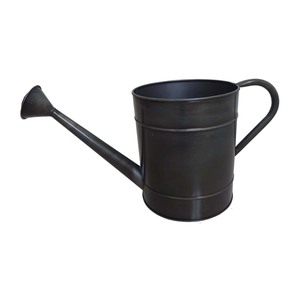 Arrosoir artisanal personnalisé à double poignée avec design rustique décoratif pour l'aménagement de jardin - Product Image 5