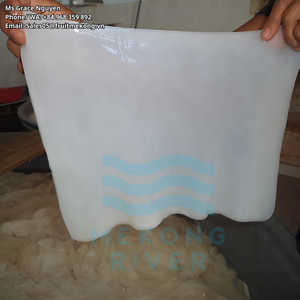 วุ้นมะพร้าวฮาลาลแบบดิบ ปรับแต่งได้ ออกแบบฉลากได้ ไขมันต่ำ ขนาด 8*8*8 มม. สำหรับเครื่องดื่มชาไข่มุก ของหวาน เครื่องดื่ม เวียดนาม ราคาโรงงาน - Product Image 2