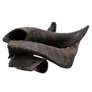 Alimento Masticable para Perros, el Mejor Cuerno de Búfalo Pulido para Masticar - Product Image 1