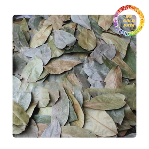 Top Quality Dried Soursop Leaves for Herbal <b>Tea</b> Bulk Supply Natural Graviola Leaves Export Standard Global Buyers - Product Image 6