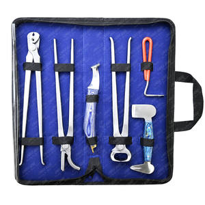 Kit de herramientas de herrador de 6 uds., cuchillo de pezuña ligero, extractor de clavos, selección de pezuña de herrador, herramienta de recogida de pezuña y amortiguador de pezuña para caballos - Product Image 1
