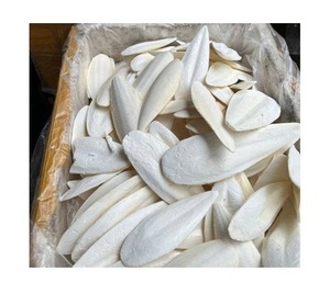 Hueso de Sepia Natural Crudo para Aplicaciones Industriales y Agrícolas, Alto Contenido de Calcio, Producto Seco de Procedencia Marina a Granel - Product Image 1