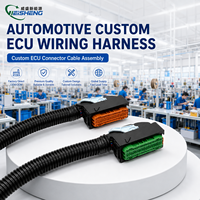 Kabel Harness ECU Kustom untuk Otomotif, Mesin Pertanian, Perakitan Kabel Tugas Berat OEM ODM, Selubung PVC, Inti Tembaga PBT, IP68