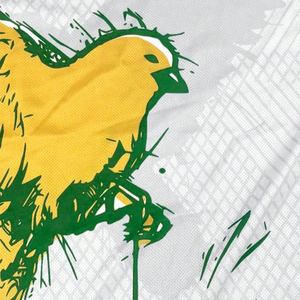 Custom Men's Soccer Jersey With Yellow Green <b>Bird</b> Print Sublimated Short Sleeve Crew Neck Moisture Wicking Polyester Apparel - Product Image 3