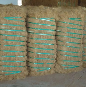 Fibra de Coco de Calidad Mayorista con Pacas Densas de 110-125 kg por paca para la fabricación de cepillos para colchones de cuerda y tapicería - Product Image 6