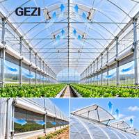 Serre à arche gothique multi-travées en acier galvanisé pour la culture commerciale de légumes, fleurs et la production agricole