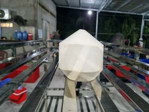 น้ำมะพร้าวอ่อนสดธรรมชาติจากเวียดนาม พร้อมเปลือกขัดเงา สำหรับดื่มน้ำหวาน และอุตสาหกรรมการท่องเที่ยว - Product Image 4