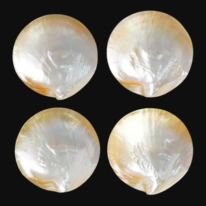 จานตกแต่งเปลือกหอยมุกทรงกลม งานแฮนด์เมด ขัดเงา ดีไซน์มินิมอล สีพื้น - Product Image 1
