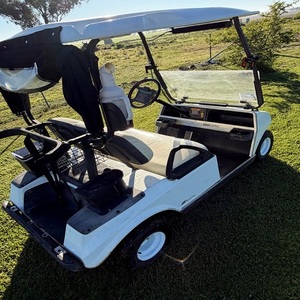 Carritos de Golf en Venta, Modelos Eléctricos para 6 Pasajeros, Ideales para Transporte Grupal, Resorts, Eventos y Uso Comercial, Envío de Carritos de Golf - Product Image 5