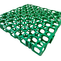 Grille de pavage en HDPE robuste pour gazon, pavés perméables en nid d'abeille pour allées, parkings et renforcement des sols