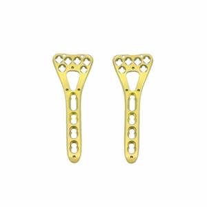 Placa de Bloqueo para Radio Distal 2.7/2.4mm, Placa Volar de Titanio de Calidad Premium, Todos los Orificios Disponibles, Implantes Óseos para Traumatología - Product Image 3