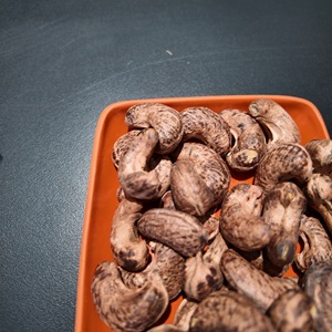 Venta al por Mayor de Anacardos Orgánicos Tostados y Salados de Alta Calidad, Grado WW240, África, Precio Competitivo, OEM, ODM, Vietnam, USDA, BRC, Fábrica Halal - Product Image 2