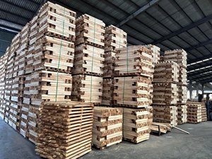 Madera de Caucho Cuadrada Aserrada a Precio Mayorista Económico - Madera 100% Natural de Vietnam para Diseño Industrial, Construcción y Muebles - Product Image 6
