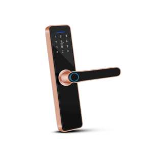 Serrure extérieure intelligente de haute qualité, multilingue, pour serrure à empreinte digitale d'appartement - Product Image 1