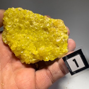 Polvo de Azufre de Alta Pureza 98% para Producción Agroquímica, Tratamiento de Suelos y Aplicaciones Industriales, Exportación a Granel Confiable - Product Image 6
