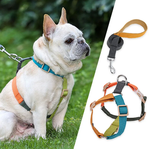 Adjustable Nylon Dog Harness Teal Orange Green Buckle Closure Simple Style for Medium Dogs - Product Image 6