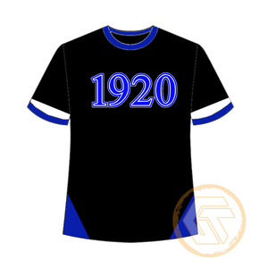 T-shirt décontracté en jersey de coton et polyester respirant de haute qualité avec logo personnalisé Zeta Phi Beta pour femmes, vêtements de sororité, vente en gros - Product Image 1