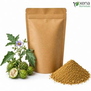 Proveedor Certificado de Hierbas, Extracto de Solanum Xanthocarpum en Polvo, Ingrediente Natural para Productos de Bienestar Respiratorio, OEM - Product Image 3