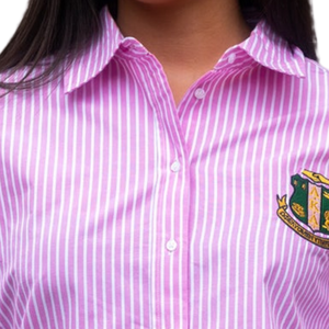 Chemise boutonnée brodée pour femme, rayée rose et blanche, avec emblème de blason, manches longues, col classique, haut décontracté et tendance - Product Image 5