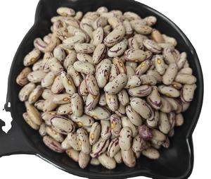 Haricots rouges clairsemés naturels, texture riche, riches en protéines, récolte fraîche de la ferme, ingrédient alimentaire en vrac, qualité 100% - Product Image 3