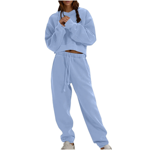 Conjunto Deportivo de 2 Piezas para Mujer, Color Azul Claro, Sudadera con Capucha de Manga Larga, Pantalones Deportivos de Felpa, Corte Regular, Estilo Casual, Color Sólido, Otoño, Hip Hop - Product Image 1
