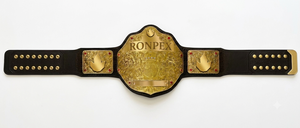 เข็มขัดแชมป์ระดับพรีเมียมคุณภาพสูง Ronpex International ผลิตตามสั่ง ทำจากทองเหลืองและหนังอย่างดี สำหรับมวย เทควันโด มวยปล้ำ - Product Image 2